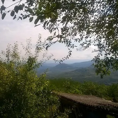 Holiday Home Vizinada *