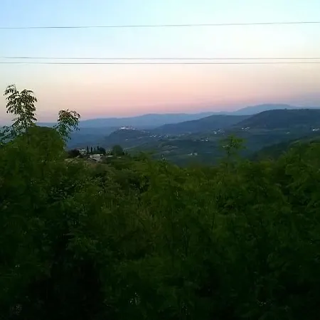 Villa Holiday Home Vizinada