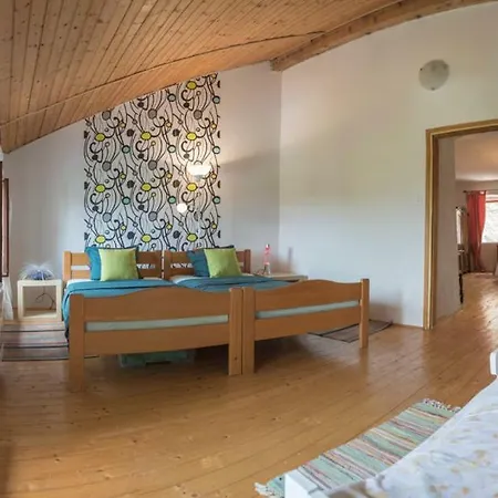 Holiday Home Vizinada Villa