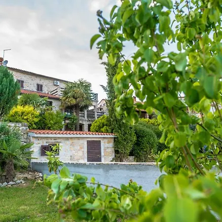 Villa Holiday Home Vizinada