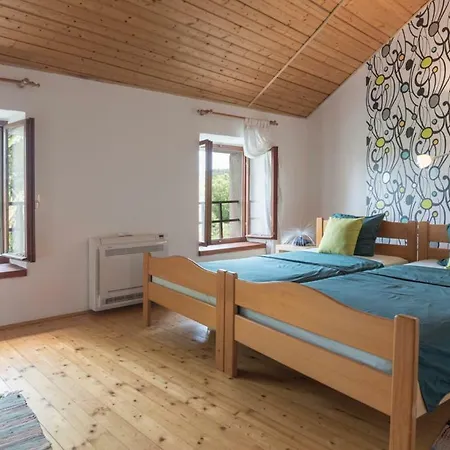 Holiday Home Vizinada Villa