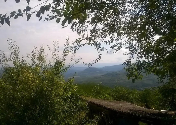 Holiday Home Vizinada *