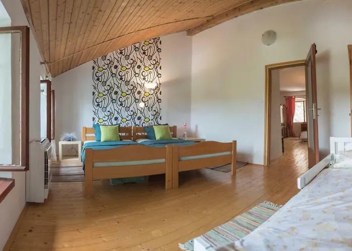 Holiday Home Vizinada Villa