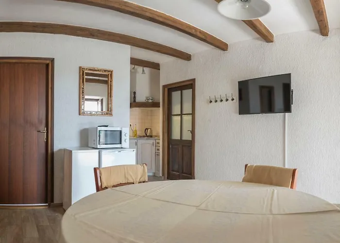 Holiday Home Vizinada Villa *